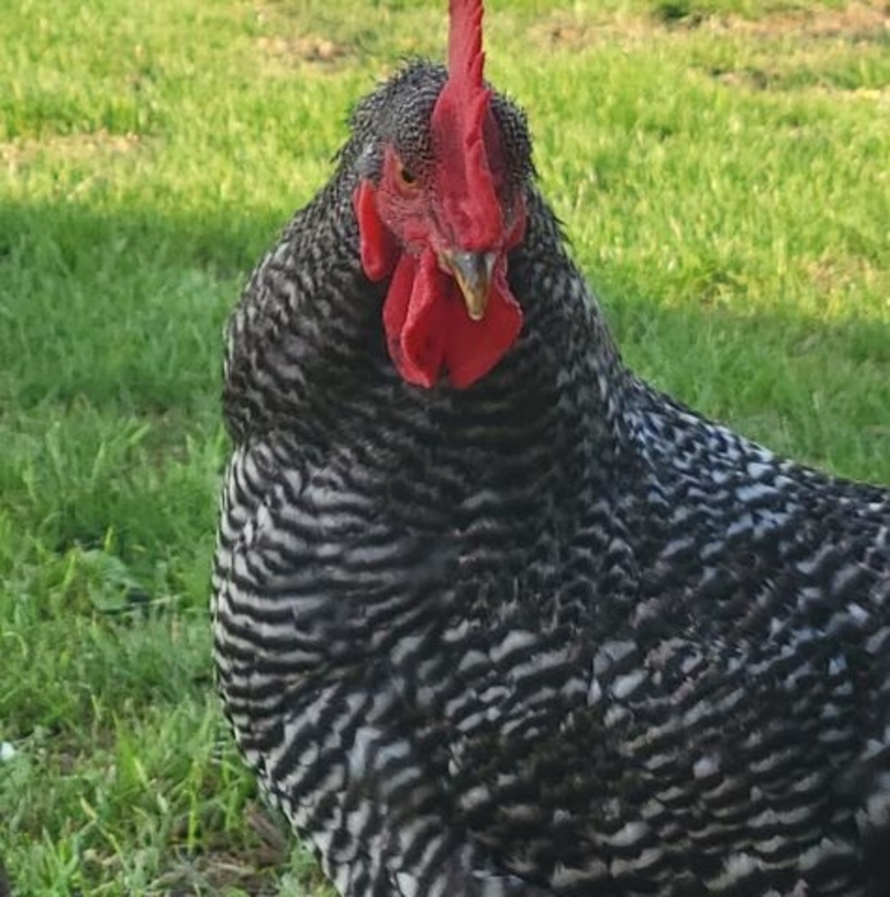 Meet your Posher, Heather